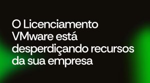 Custo VMware